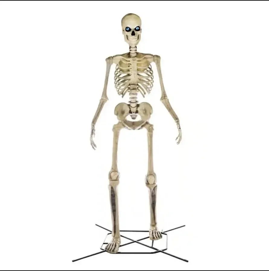 Home Accents 12 ft. Giant-Sized Skeleton with LifeEyes